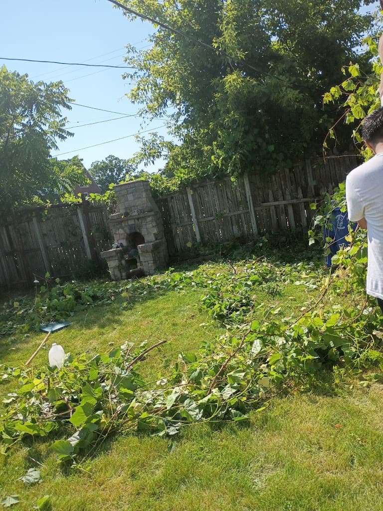Yard debris and brush cleared from a backyard during a cleanup job
